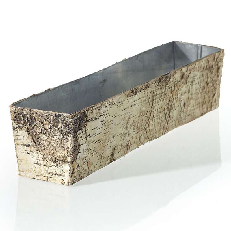 Boîte à fleurs en bois Brydie Birch, H 4 po x l 18 po x P 4 po
