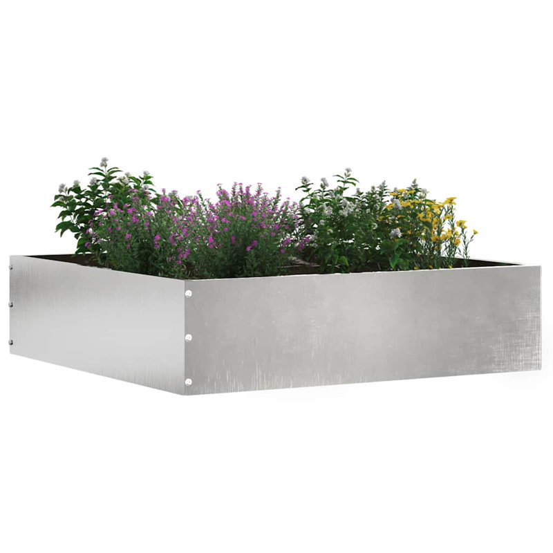 13 cm H Stainless Steel, 13cm H x 50cm W