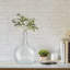 Meduse 10.75'' Glass Table Vase-953425973