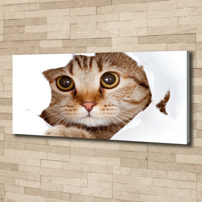 Cat - Wrapped Canvas Print