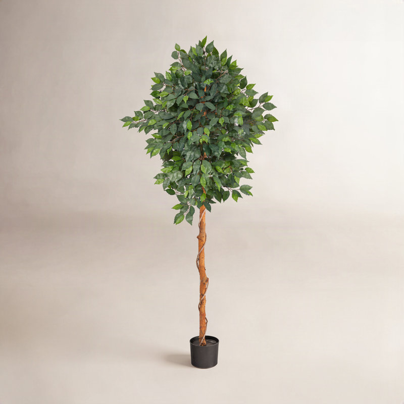 Arbre ficus artificiel en pot, H 72 po x l 27 po x P 16 po