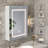 Cormarion Surface Mount Frameless Medicine Cabinet with Mirror and 2 Shelves and LED ligthing-49736684-48968521