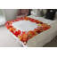 Schreiner Throw Blanket