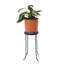 Hand Forged 18" Alondria Plant Stand