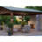 Cecil 3 - Light Outdoor Chandelier