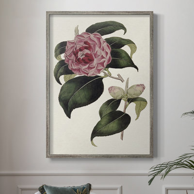 «Pink Floral Mix III», reproduction encadrée - bois massif
