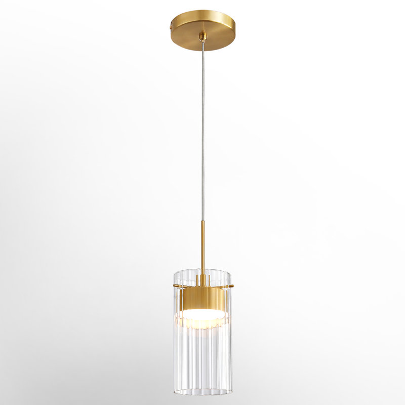 Luminaire suspendu simple à 1 lumière DEL