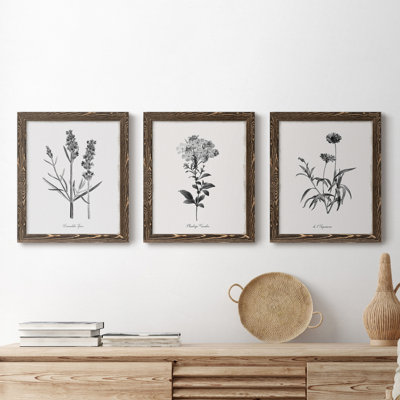 " Simply Imperial " 3 - Pieces