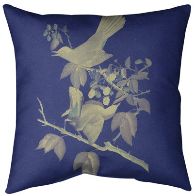 Coussin décoratif à motif d'oiseau de chat avec insert - Collection John James Audubon, double face et lavable