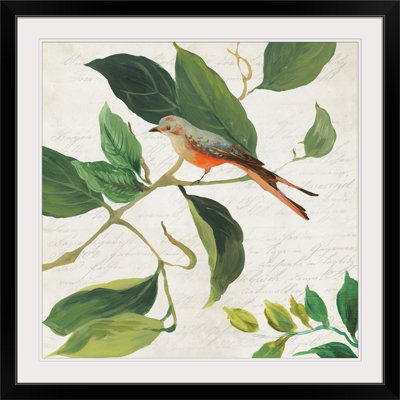 « i » asia jensen, impression Singing Bird