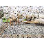 Simons Area Rug-1915452101