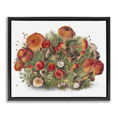 Art mural sur toile flottant Rustic Cottage