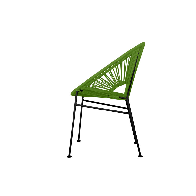 Concha Indoor/Outdoor Handmade Dining Chair, Black, Cactus