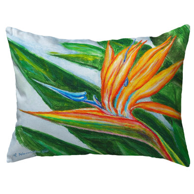  Housse et insert de coussin d'extérieur pour l'extérieur