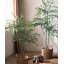 Arbre d'intérieur réaliste Nandina-1465964946