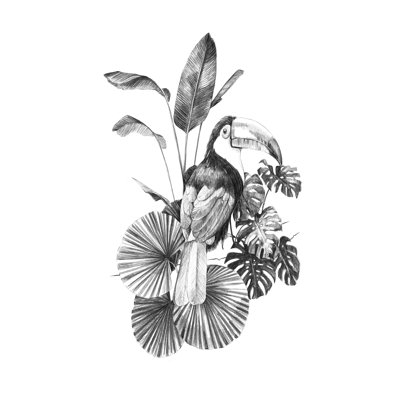 Toile Toucan II