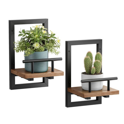 Floating Shelves For Wall, Plant Shelf Indoor, Wall Planters For Indoor Floating Plant Shelves(2 Pack)