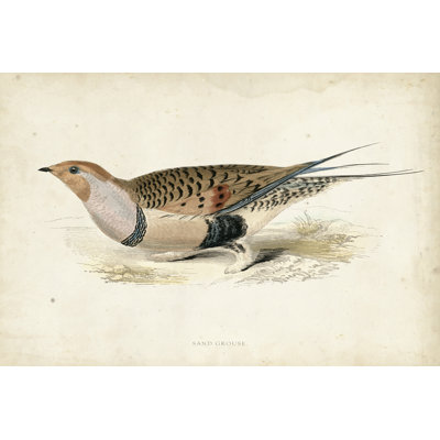 Morris Pheasants V - Wrapped Canvas Print
