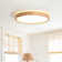 Damiyon 1-Light 30cm Modern Dimmable LED Energy-Saving Ceiling Light Round Flush Mount Lamp
