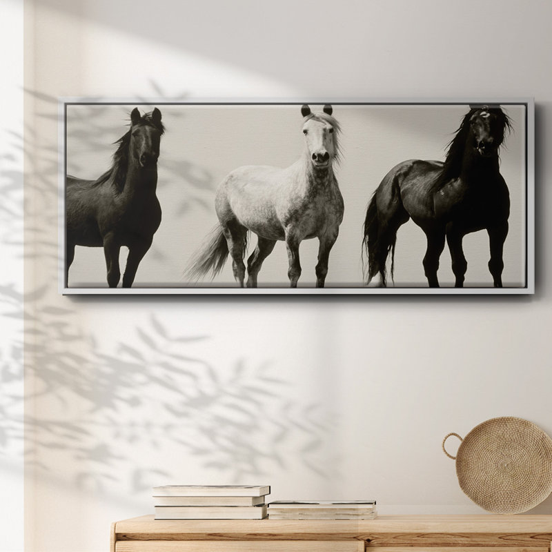 Wild Stallions- Framed Canvas