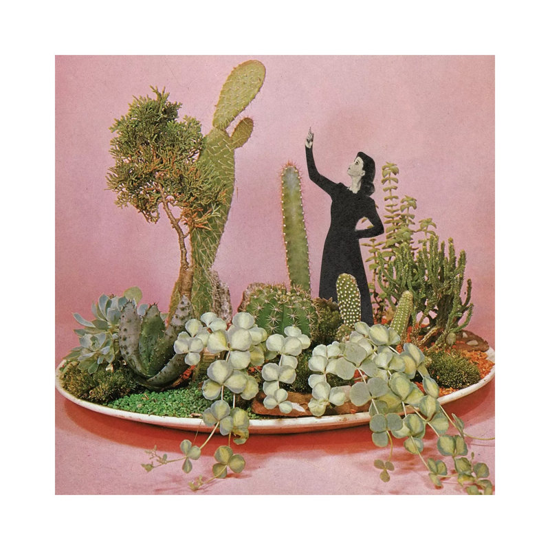 The Wonders Of Cactus Island by Cassia Beck - Wrapped Canvas Gallery-Wrapped Canvas Giclée, 45.72 cm H x 45.72 cm W
