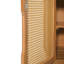 Armoire de rangement Adair Mid-Century moderne en bois d'acacia avec portes en osier de polyéthylène pour patio et jardin