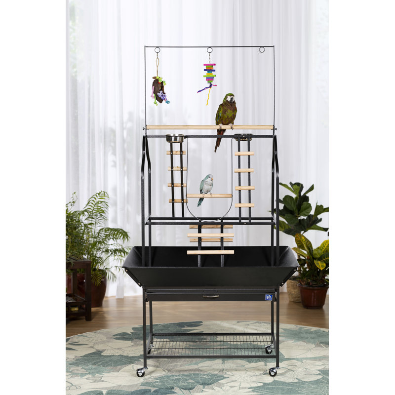Banc de jeu Heyward Parrot, Grand (H 73,5 po x l 22 po x P 30 po)