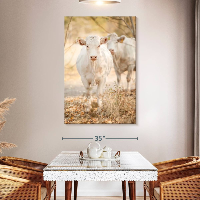 Vaches charolaises blanches, H 51 po x l 34 po