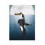 Bykammille Orca-864259381