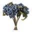 Paquet de tiges de baies-66283962