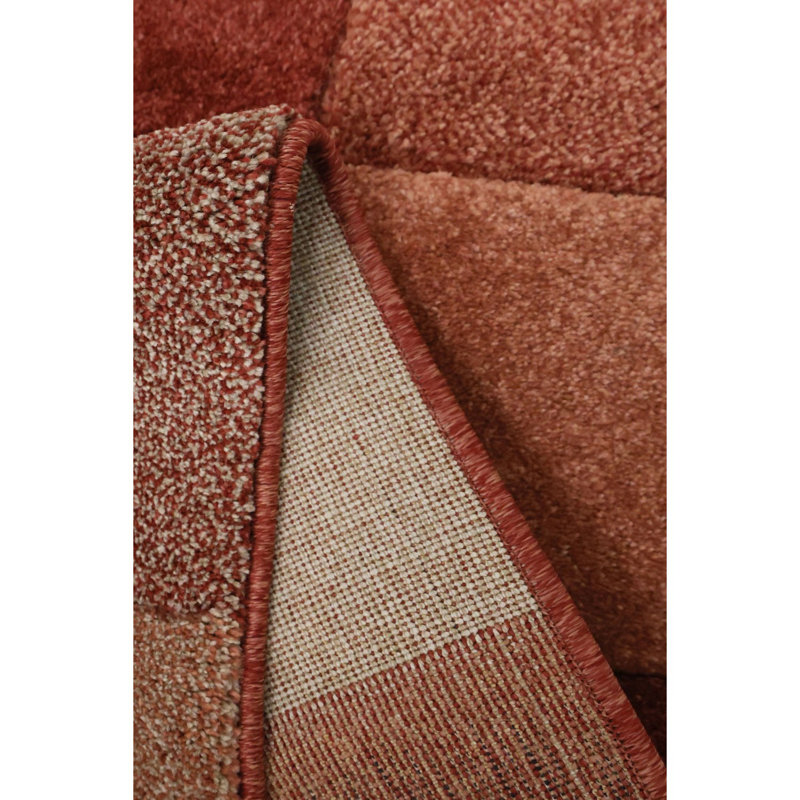 Takaiyah Oriental Area Rug, Rectangle 200 x 290cm