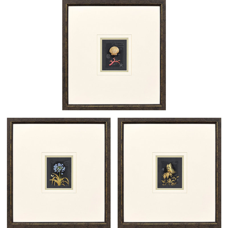 Petite Wonders III Framed Art