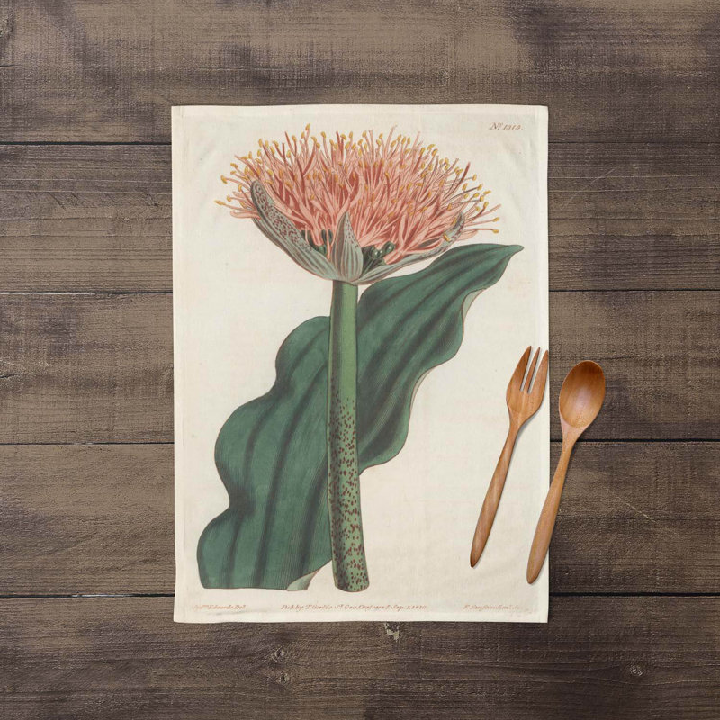 Paintbrush Lily - Botanical Tea Towel