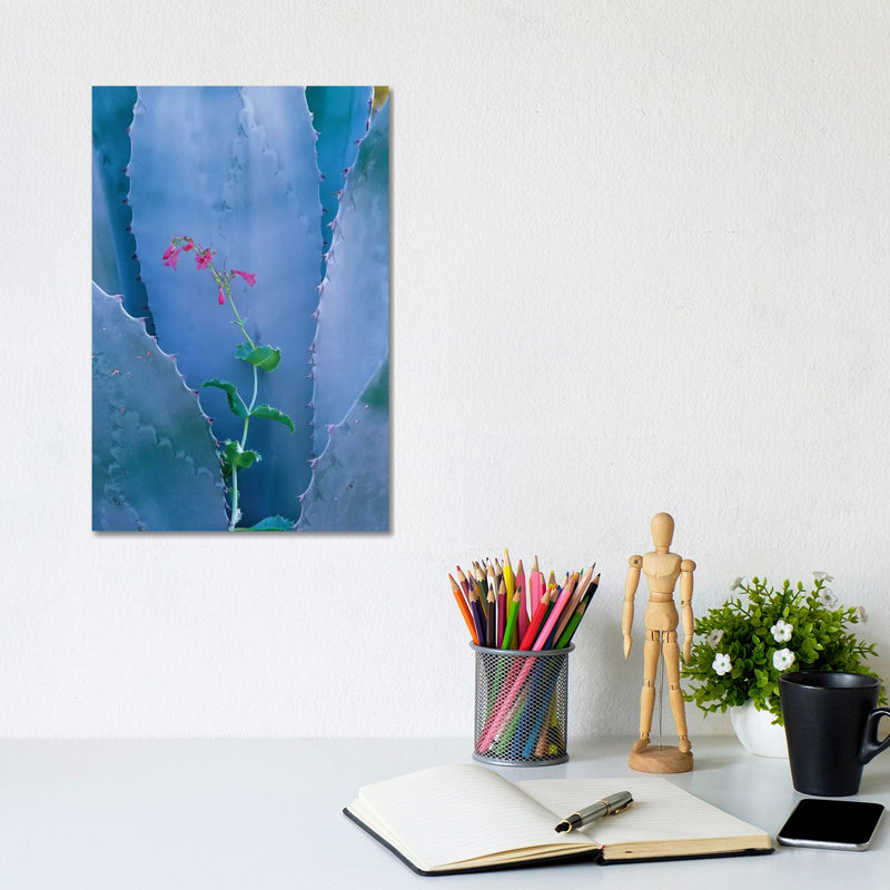 Agave And Parry's Penstemon Close Up, North America I by Tim Fitzharris - Wrapped Canvas Print, 20.32 cm H x 30.48 cm W