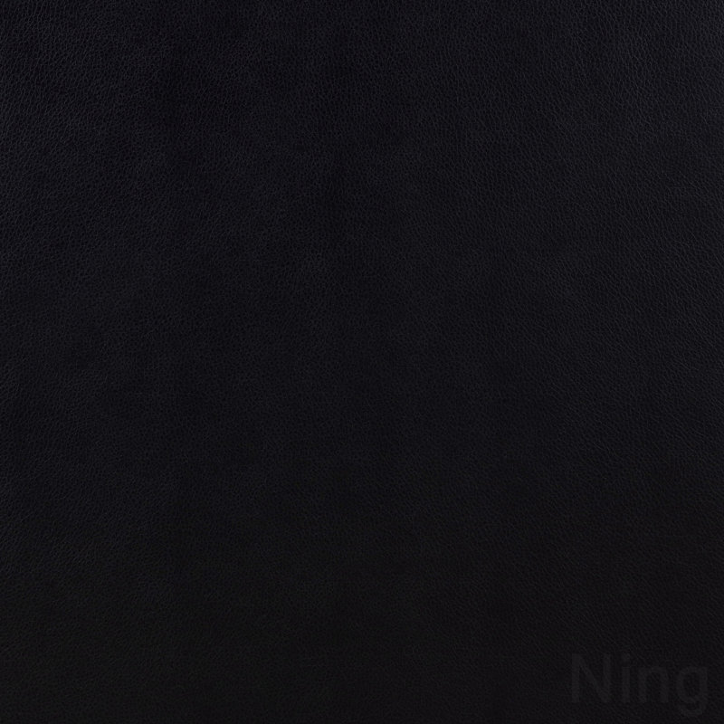 Fauteuil d'appoint noir avec accoudoirs rembourrés, Noir