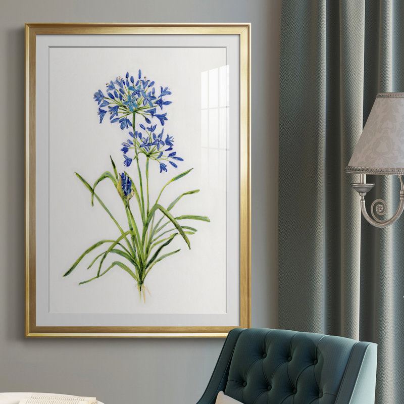 Blue Lived Botanical I - Cadre photo, reproduction d'art sur papier, H 30,5 po x l 42,5 po x P 1,5 po, Or