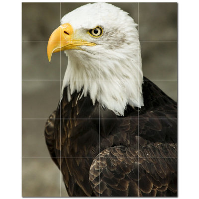 12'' x 12'' Satin Ceramic Decorative Mural