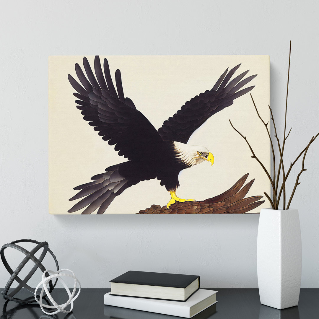 Exquisite Eagle Bird - Wrapped Canvas