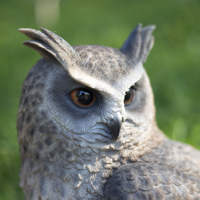 Brown Long Eared Owl on branch | Handcrafted Decorative Bird Statue for Home & Garden | Premium Polyresin, Weather-Resistant Indoor/Outdoor Decor
