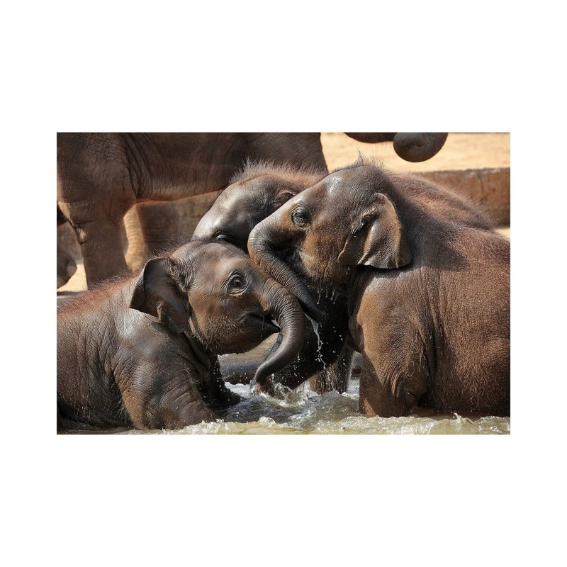 Water Fun 1 Piece Wrapped Canvas Wall Art, 30.48 cm H x 45.72 cm W