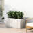 Outdoor Rectangular Planter Box-117874065-123351602