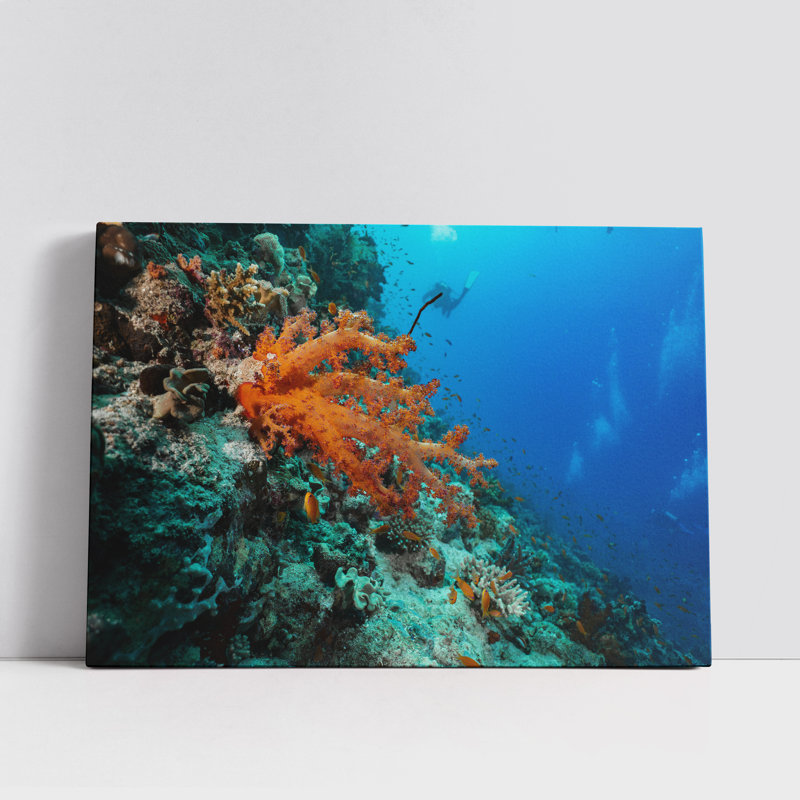 Orange Coral in a Reef, 12" H x 18" W