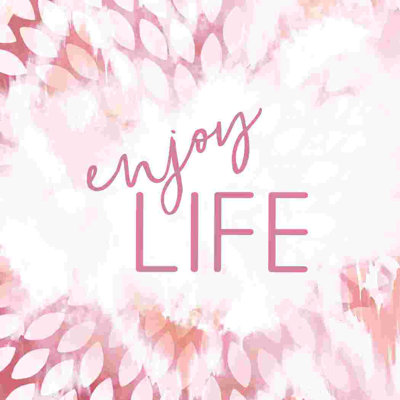 Enjoy Life Blush