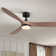 Soumeya 60'' Ceiling Fan With LED Lights, Remote Control and Quiet Reversible Dc Motor