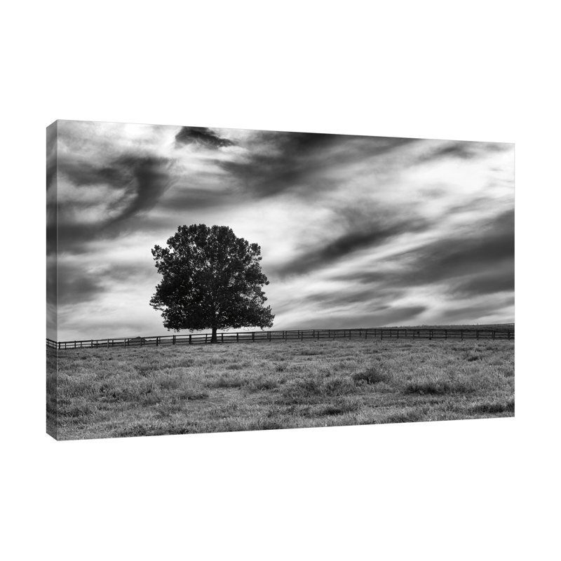 "Majestic", toile tendue par Aledanda, H 10 po x l 15 po x P 1,5 po