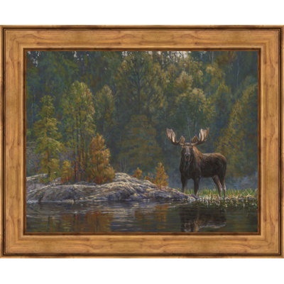 " North Country Moose "