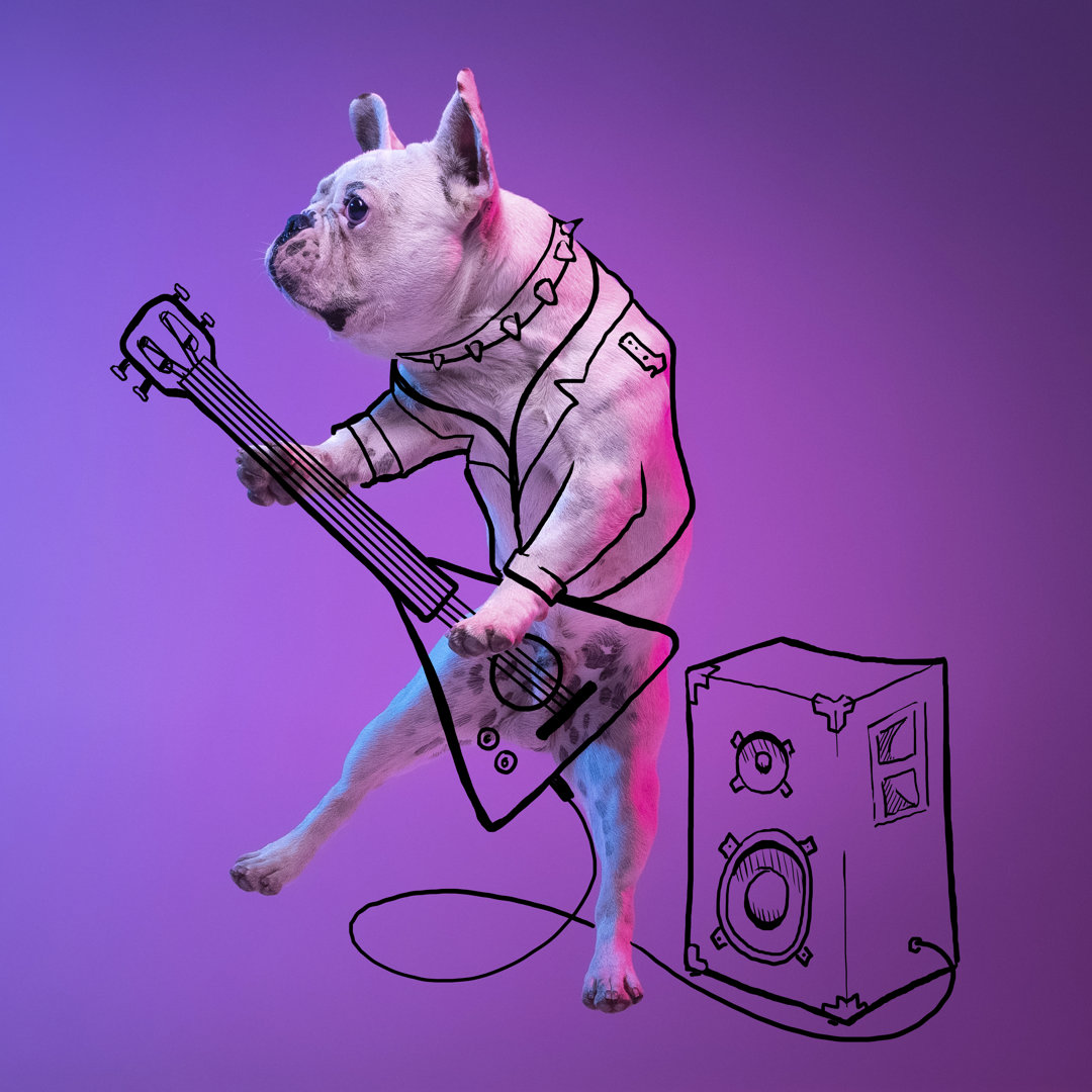 Taulbee Bulldogge, Gitarre spielend - Grafik auf Leinwand