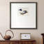 «White and Blue Mallardpremium», reproduction encadrée-88071010-88452046