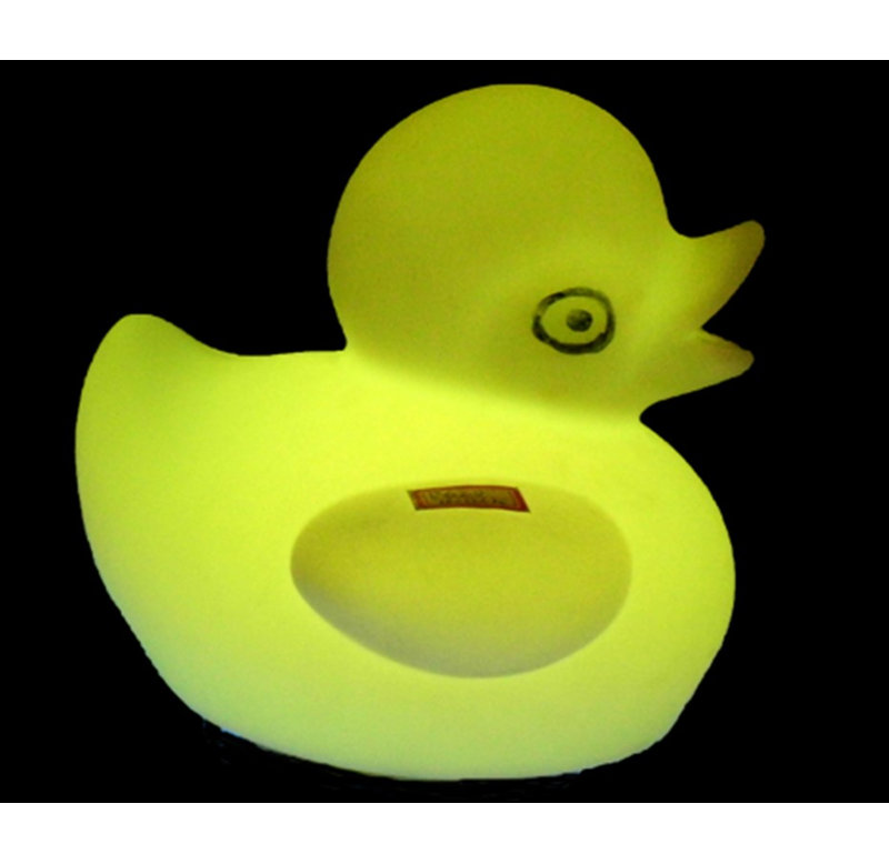 Éclairage de nuit de canard
