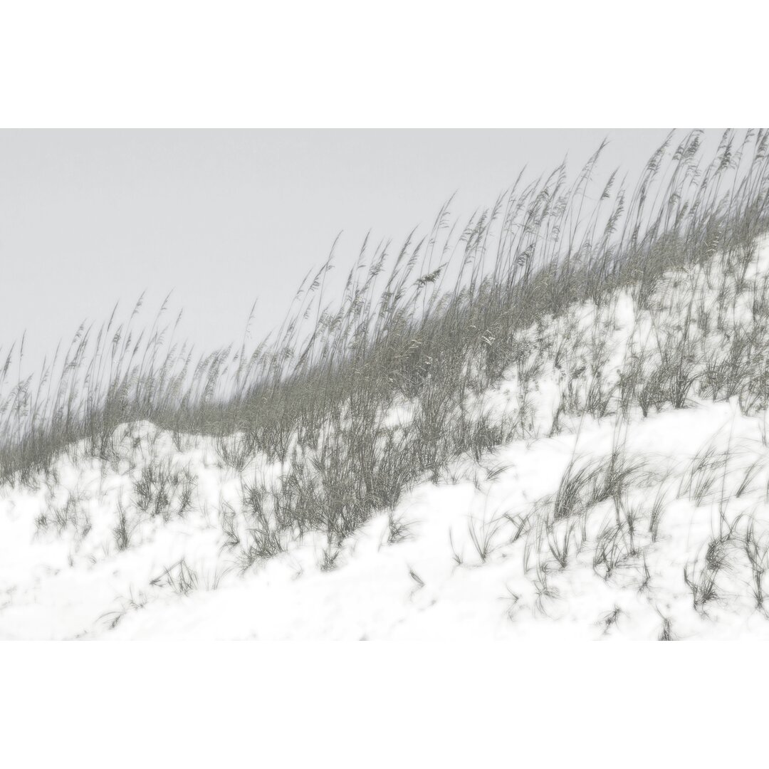 Leinwandbild Lush Dunes I von Sharon Chandler